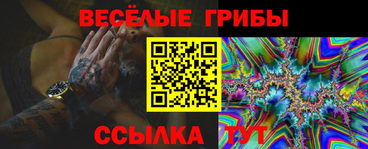 Уварово  Псилоцибиновые грибы прущие грибы  Вход с VPN 